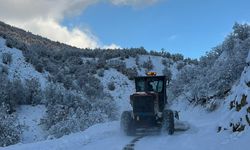 Elazığ, Siirt, Batman, Şırnak ve Bingöl'de 746 yerleşim yerine ulaşım sağlanamıyor
