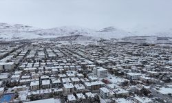 Erzincan ve Ağrı'da kar yağışı etkili oldu