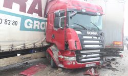 Erzurum sıfırın altında 30,3 dereceyle Türkiye'nin en soğuk ili oldu