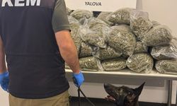 Fransa'dan gemiyle Yalova'ya gelen tırda 37 kilo 742 gram esrar ele geçirildi