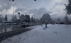 Gaziantep'te kar etkili oldu