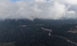 Ilgaz'da çam ağaçlarıyla bütünleşen sis dron ile görüntülendi