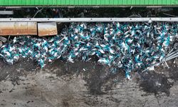 İSBİKE'nin bisikletleri kırılarak hurda haline getirildi