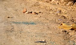 İsrail ordusu, işgal altındaki Bati Şeria'da Filistinli bir çocuğu öldürdü