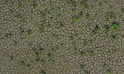 İzmir'deki içme suyu barajları kuraklık nedeniyle alarm veriyor