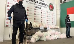 Kapıkule'de bir tırda esrar ve çok sayıda uyuşturucu hap ele geçirildi