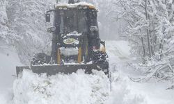 Karabük'te kar nedeniyle kapanan 112 köy yolunun 86'sı açıldı