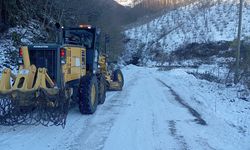 Karadeniz'deki 4 ilde kar nedeniyle 265 yerleşim yerinin yolu ulaşıma kapandı
