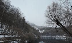 Karagöl'e mevsimin ilk karı yağdı