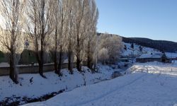 Kars, Ardahan ve Ağrı'da dondurucu soğuklar etkisini sürdürüyor
