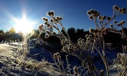 Kars ve Ardahan'da soğuk hava etkisini sürdürüyor