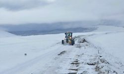 Kars'ta kar nedeniyle 20 köy yolunda ulaşım sağlanamıyor