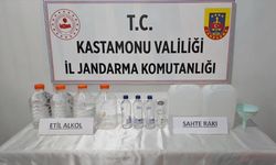 Kastamonu'da ruhsatsız silah ve sahte içki operasyonlarında 5 zanlı gözaltına alındı