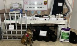 Kastamonu'da uyuşturucu operasyonunda 6 zanlı yakalandı