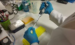 Kırım Kongo Kanamalı Ateşi hastalığına karşı geliştirilen aşının klinik öncesi çalışmaları tamamlandı