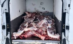 Kırşehir'de 6,1 ton kaçak ve bozulmuş hayvansal ürün ele geçirildi