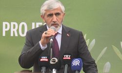 KKTC'de 'Kanlı Noel' katliamının 62. yılında zeytin fidanı dikim töreni düzenlendi