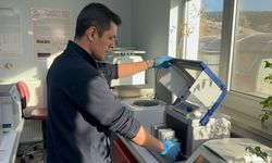 Kovid-19 ve benzeri salgınlara karşı domates kullanarak yenilebilir aşı üretmeyi hedefliyorlar