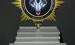 Malatya'da 75 bin 376 sentetik uyuşturucu hap ele geçirildi