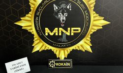 Malatya'da uyuşturucu operasyonunda yakalanan 1 şüpheli tutuklandı