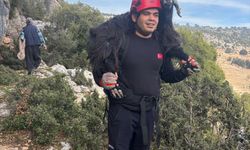Mersin'de uçurumdaki kayalıklarda mahsur kalan 2 keçi kurtarıldı