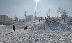 Muş'ta göletler dondu, çatılarda buz sarkıtları oluştu