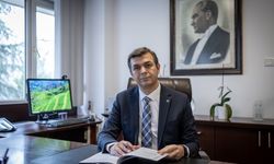 Okul öncesi eğitim, akran zorbalığını azaltmada 'kilit rol' oynayabilir