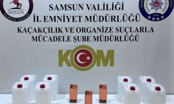 Samsun'da kaçakçılık operasyonunda 2 zanlı yakalandı