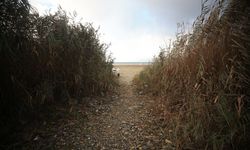 SAPANCA GÖLÜ ALARM VERİYOR - Sapanca Gölü'nde bütün hesaplar 'sürdürülebilir koruma' üzerine