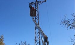 SEDAŞ, yeni yıl için kesintisiz enerji önlemleri aldı