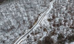 Sinop'ta kar yağışı sonrası ormanlık alanlar dronla görüntülendi