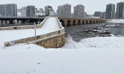 Sivas'ta kar yağışı etkili oluyor