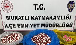 Tekirdağ'da uyuşturucu operasyonlarında 16 şüpheli tutuklandı