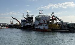 Tekirdağlı balıkçılar yeni yılda sardalya ve istavrit umuduyla ağ atacak