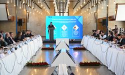 TİKA, bazı projelerde işbirliği yapılan kamu kurumları ile eş güdüm toplantısı düzenledi