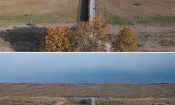 Türkiye'nin beşinci büyük gölündeki su çekilmesi her geçen gün artıyor