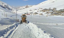 Van'da kapalı yollar ulaşıma açıldı