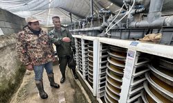 Van'daki tesislerde alabalık sağımına başlandı