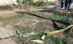 Adana'da bir kadın yol kenarında ölü bulundu