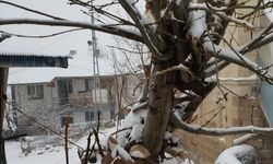 Adana'nın Tufanbeyli ilçesi karla kaplandı