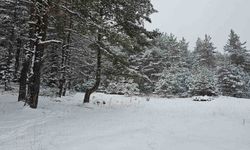 Ankara'da yaylalar beyaza büründü