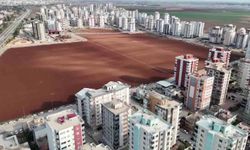 Apartmanlar arasında tarım yapmaya devam ediyor