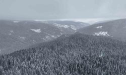 Beyaza bürünen Ilgaz Dağı havadan görüntülendi