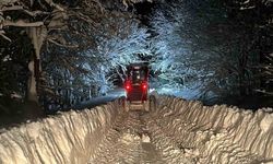 Bolu'da kardan kapanan 191 köy yolu ulaşıma açıldı