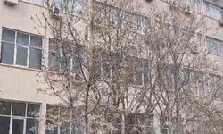 Dicle Üniversitesi'nde intihar girişiminde bulunan şahıs çatıdan indirildi