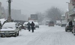 Diyarbakır'da kar yağışı başladı