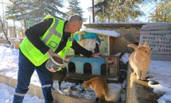 Elazığ'da doğaya yem bırakıldı