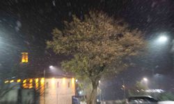 Harput'ta kar yağışı başladı