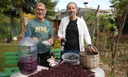 Kanser hücrelerinin oluşumunu önleyen kokulu üzümün üretimi arttırılacak