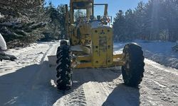 Karla kapanan 278 köy yolundan 149'u açıldı